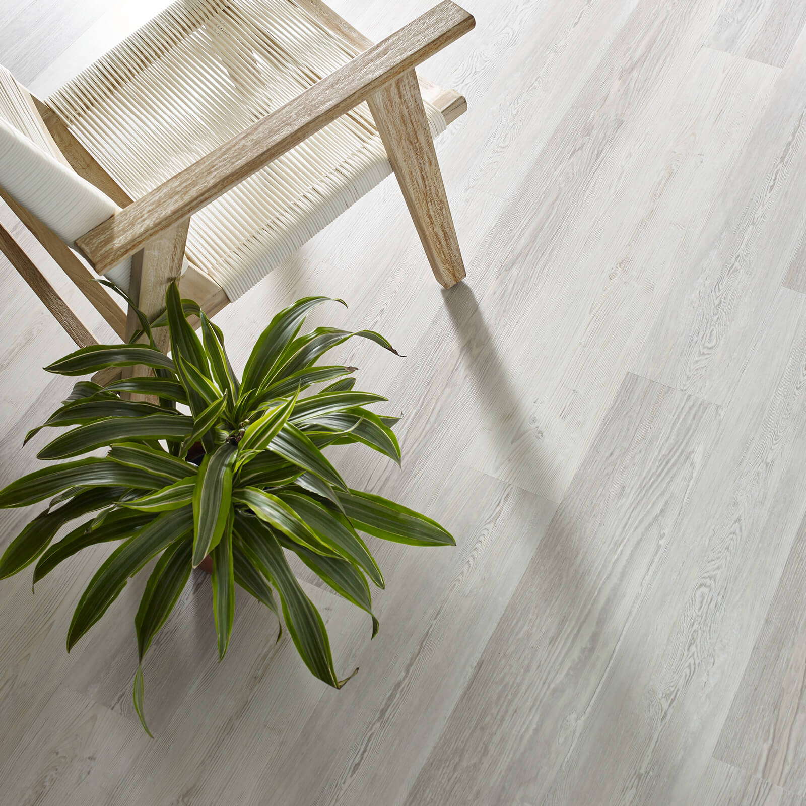 laminate with plant | Winton Flooring & Design